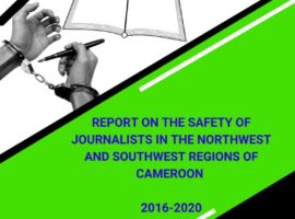 REPORT ON THE SAFETY OF JOURNALISTS IN THE NOSO